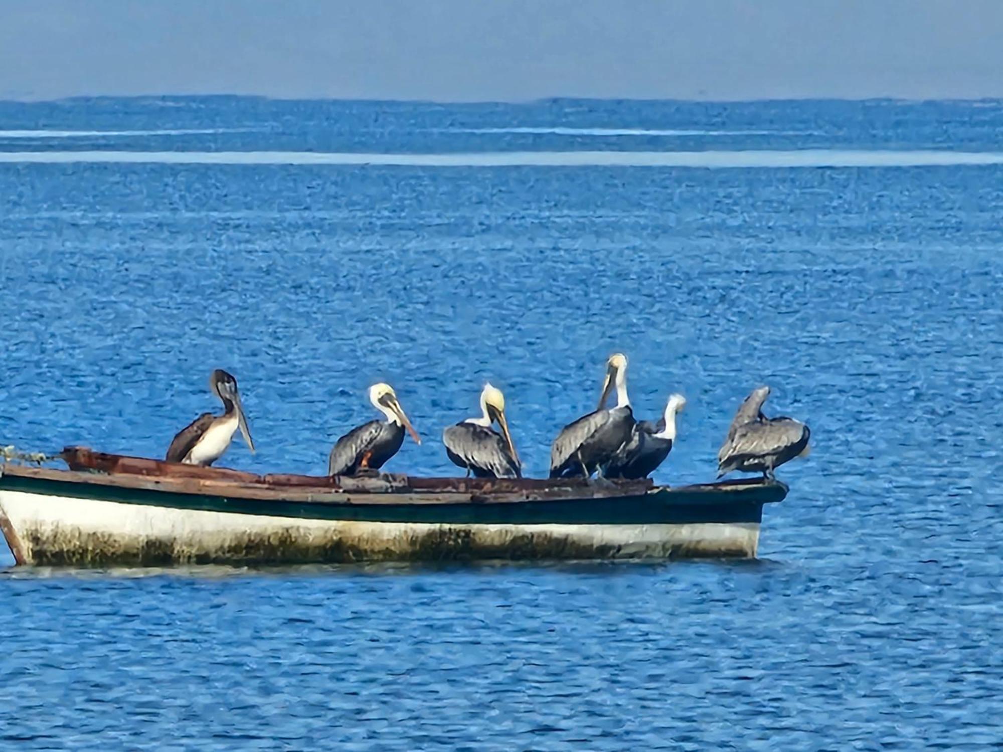 Lodge Frente Al Mar *